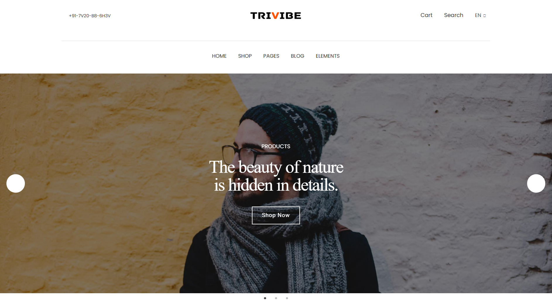 Blog Post 1